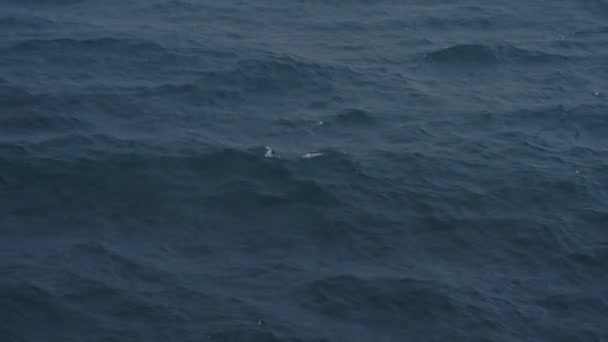 Stormachtige zee oppervlak met wind en regen, golven en getij, luchtfoto achtergrond in 4k — Stockvideo