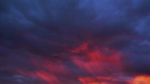 Fond de ciel orageux bleu foncé, violet et rouge au coucher du soleil avec une formation de nuages vibrante étonnante en 4k — Video