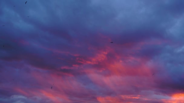 4k çarpıcı canlı bulut oluşumu ile gün batımında koyu mavi, mor ve kırmızı fırtınalı gökyüzü arka plan — Stok video