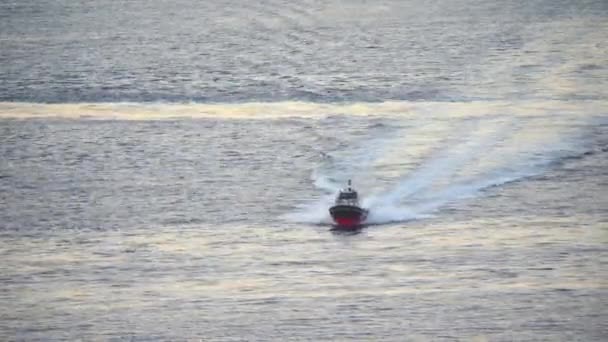 Blick von oben auf das Lotsenboot im Meer. Speedboot mit den Wellen im Rücken — Stockvideo