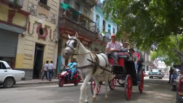 Havana, kuba - 13. Mai 2018 - Pferdekutsche, Menschen und alte Taxiwagen auf den Straßen in 4k — Stockvideo