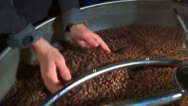 Miscelazione di chicchi di caffè tostati close-up in 4k — Video Stock