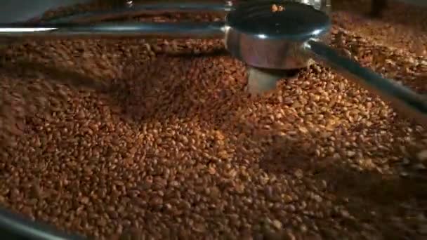 Mélange de grains de café torréfiés close-up en 4k — Video