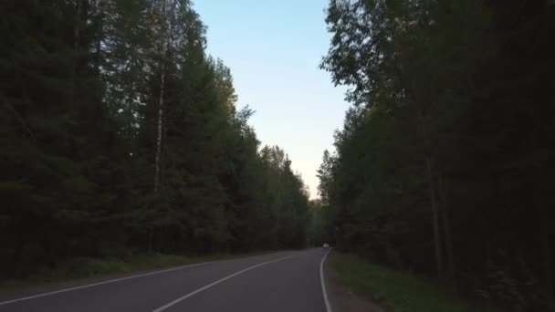 Vue voiture de la route forestière rurale en 4k 