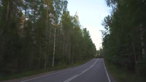 Vue voiture de la route forestière rurale en 4k 