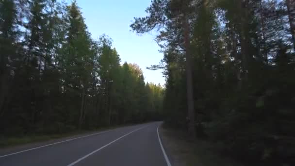 Autó kilátás a vidéki erdei út 4k — Stock videók