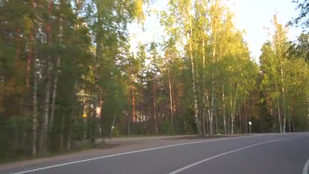 Vue voiture de la route forestière rurale en 4k 
