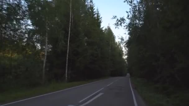 Vue voiture de la route forestière rurale en 4k 