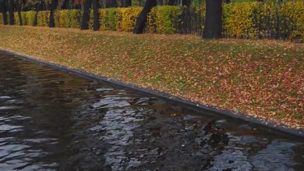 Canais de São Petersburgo no outono em 4k — Vídeo de Stock