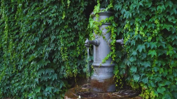 Fontaine à boire avec eau courante à Rome, Italie en 4k — Video
