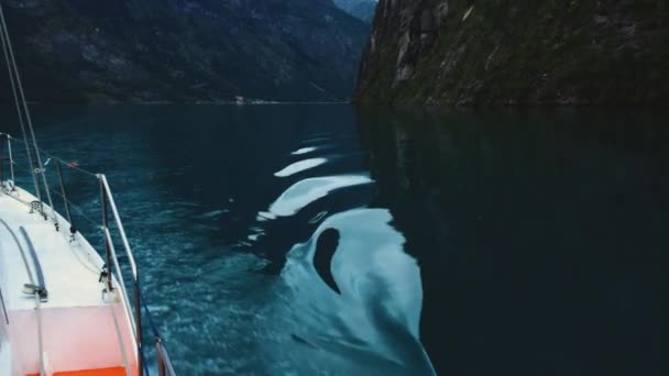 Un yate navegando lentamente en el mar de Noruega — Vídeos de Stock