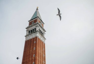 Venedik kulede piazza san marco ve gökyüzündeki martıları
