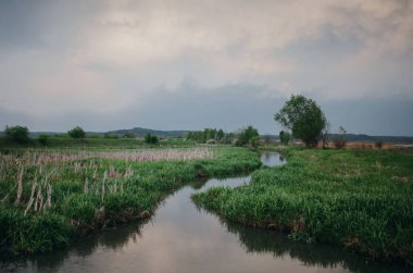 akşam, çim vahşi doğa ile nehir akar