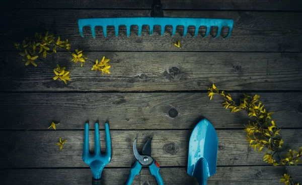 Garden tools on a wooden floor with yellow flowers — Stock Photo, Image