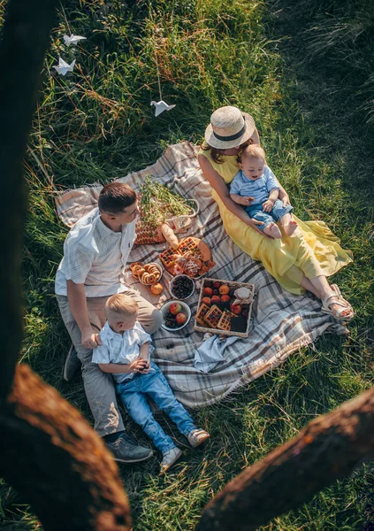 Aile piknikte bir ağacın altında oturuyor.