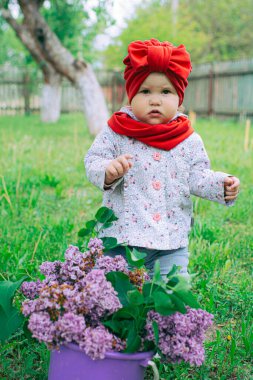 Kırmızı şapkalı küçük kız bahçede mor leylağın yanında.
