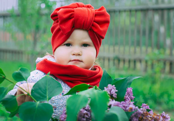 Kırmızı şapkalı küçük kız bahçede mor leylağın yanında.