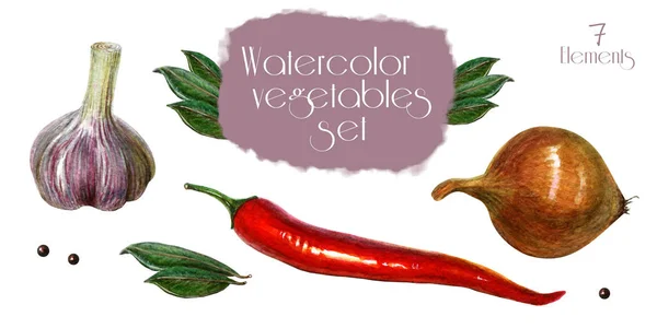 Verduras acuarela pintadas a mano aisladas sobre fondo blanco. Alto detalle. cebolla acuarela, chile rojo, ajo, guisantes de pimienta de Jamaica, hojas de laurel. Clipart acuarela de verduras —  Fotos de Stock