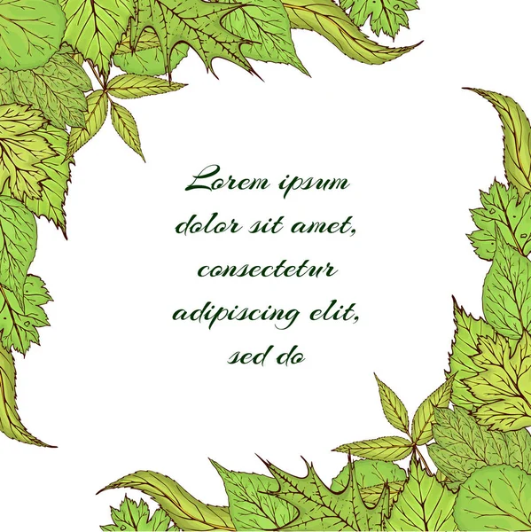Marco vectorial dibujado a mano con hojas y ramas de bosque verde. Hojas de primavera o verano para invitaciones, bodas o tarjetas de felicitación . — Vector de stock