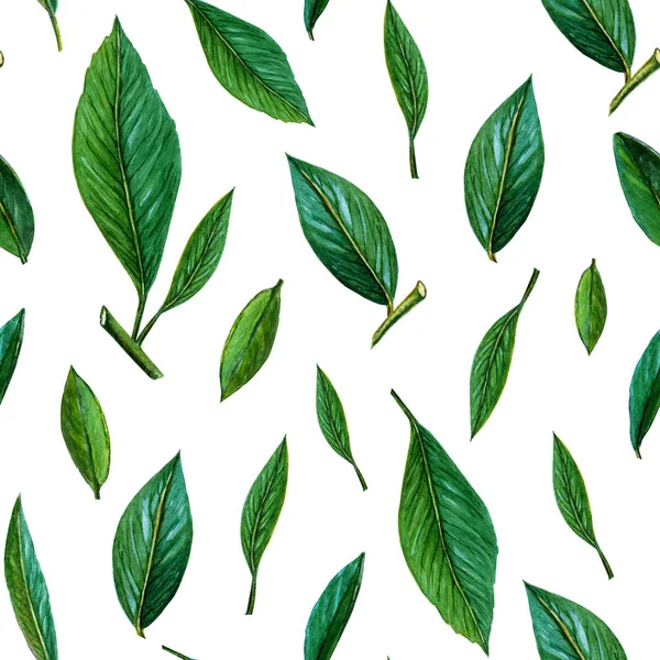 Seamless pattern of green leaves. citrus green leaves pattern on white background. Summer and juice background. painted watercolor illustration of fresh green leaves.