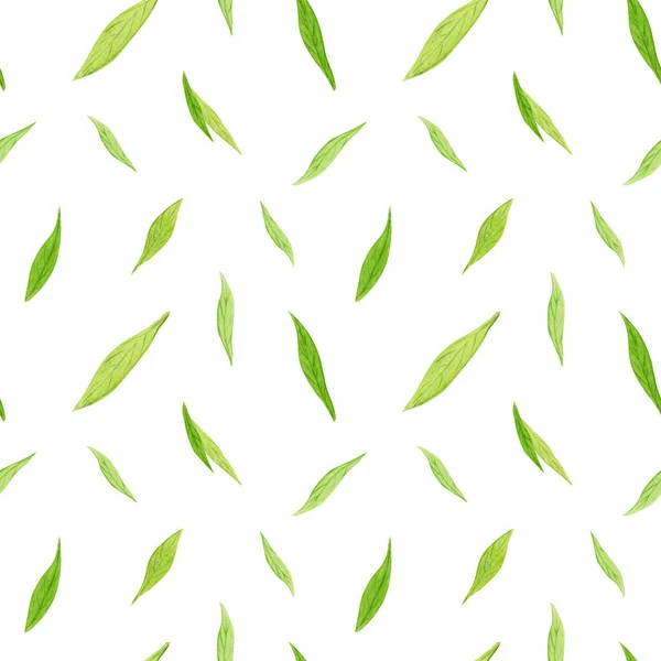 Patrón de plantas silvestres verdes. hojas, ramas y elementos naturales. Colección botánica — Foto de Stock
