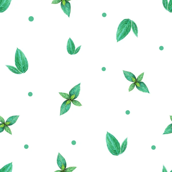 pattern of green mint leaves. Natural mint branches wallpaper Botanical illustration.