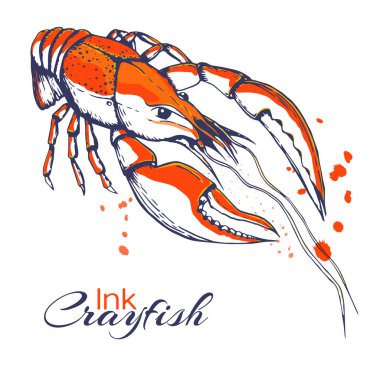 ink hand drawn crayfish concept for decoration or design. Ink spattered crawfish illustration. vector red boiled lobster drawn in ink. seafood concept with color splashes on white with place for text clipart