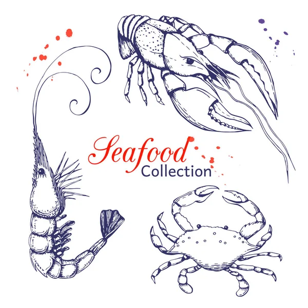 Seafood collection. hand drawn engraved seafood element in vintage style with ink splatter isolated on white. realistic outline sketched prawn or shrimp, crayfish or lobster and blue crab set