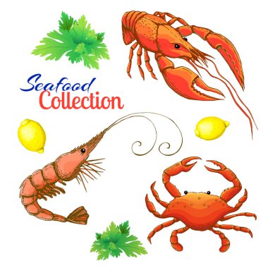 dekoratif deniz ürünleri seti. gerçekçi çizilmiş karides veya karides, ıstakoz, kerevit ve limon ve maydanoz demet ile yengeç. karikatür Vintage karides, sürünme ve yengeç. Parlak karides, ıstakoz ve yengeç