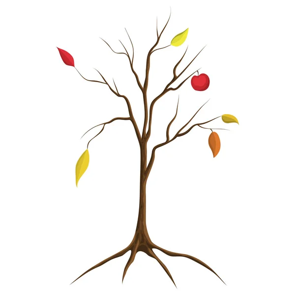 흰색 배경에 고립 된 벌거 벗은 사과 나무의 만화 그림입니다. 나무 는 단리 된 나뭇잎이 없습니다. 플랫 만화 스타일. 가을 가을 나무와 일부 빨간색과 주황색 잎과 벌거 벗은 나뭇 가지에 하나의 사과 — 스톡 벡터
