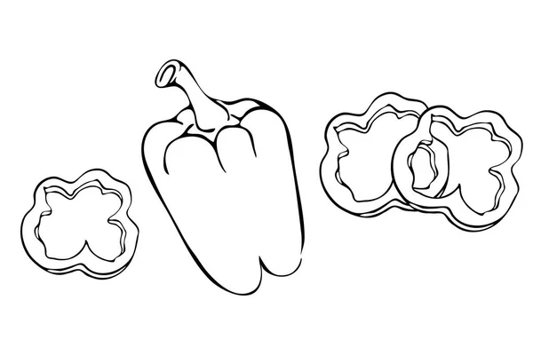 Paprika of paprika's met segmenten omtrek illustratie geïsoleerd op witte achtergrond. Hand getekende peper paprika pictogram. Vintage hand schets inkt peper. paprika met plakjes voor kleur-of logo concept. — Stockvector