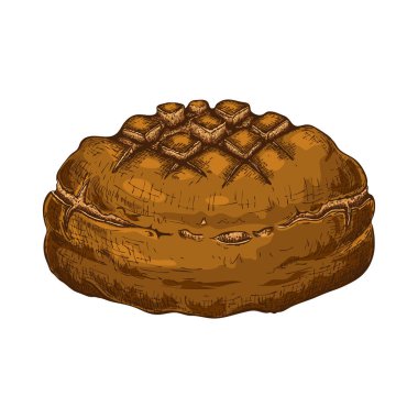 Beyaz üzerine izole edilmiş çavdar ekmeği. Elle çizilmiş geleneksel kahverengi rustik ekmek karalama ikonu. Taze pişmiş. Vintage oymacılık tarzında vektör rengi çizimi. Poster, etiket, menü fırını için resimleme.