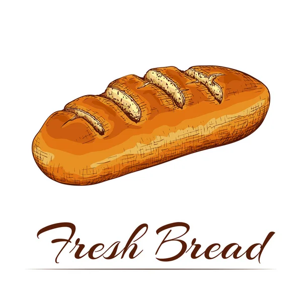 Kreslený barevný pšeničný chléb izolovaný na bílém pozadí. tradiční bochník chleba čmáranice ikony. Vektorový náčrt ve starém ryteckém stylu. ilustrace pekařského zboží na plakát, etiketu, menu pekařství — Stockový vektor