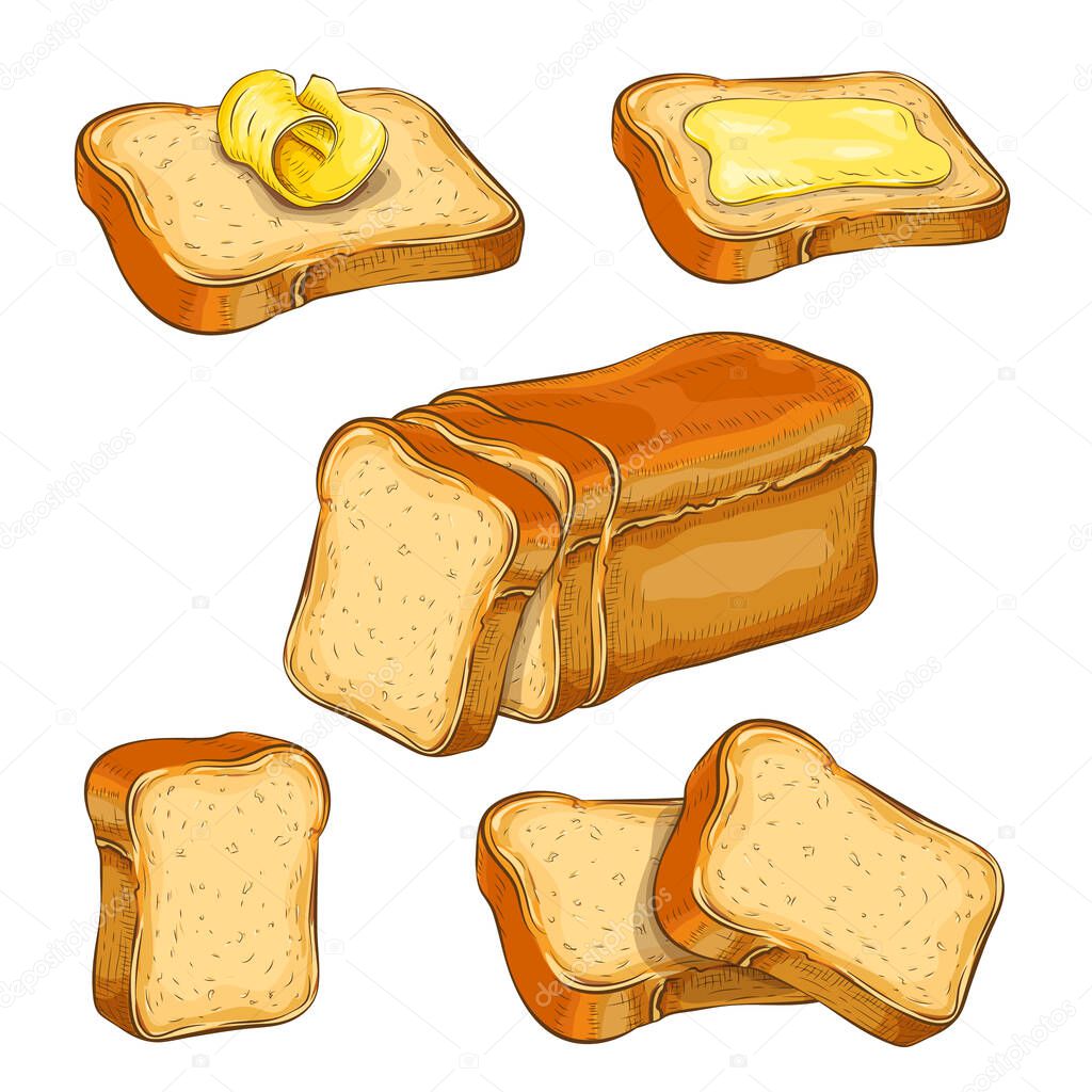 set of wheat sliced bread and toasts illustration isolated on white. white square loaf with various bread slices icon collection. fresh baked bread. Vector colored vintage engraved sketch. for design.