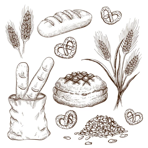 Хлеб ручной работы, изолированный на белом. векторная винтажная иллюстрация разнообразного хлеба, как французский багет, круглый деревенский хлеб, пшеничный хлеб, ржаные или пшеничные уши, зерна и крендельки гравированные коллекции . — стоковый вектор
