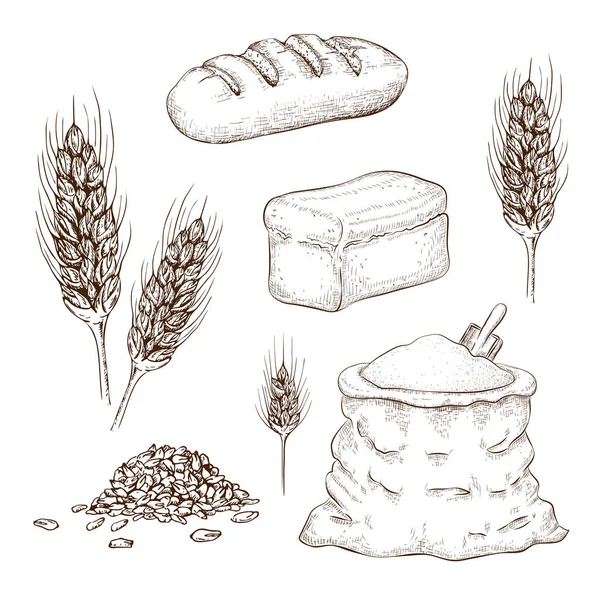 Panes elaborados a mano, bolsa de harina y peras de trigo aisladas en blanco. ilustración vectorial de pan cuadrado de grano entero, pan largo de trigo, espiguillas de centeno, granos y saco de arpillera de harina. Productos de panadería . — Archivo Imágenes Vectoriales