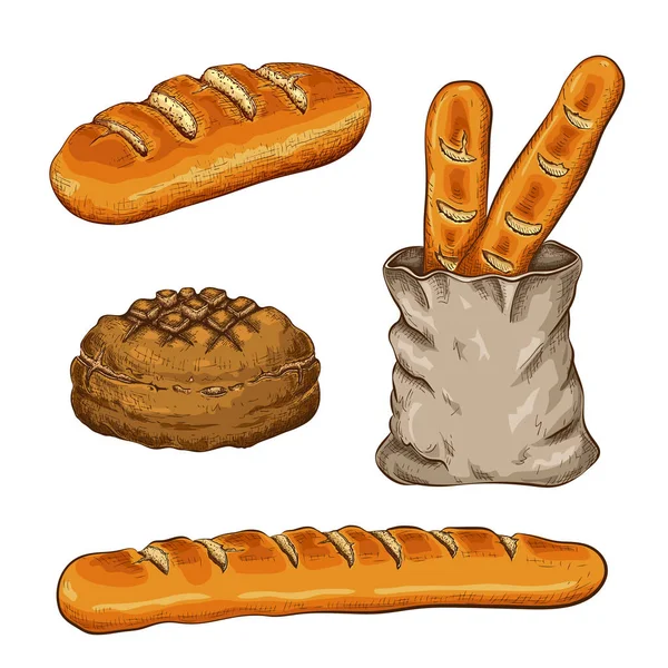 Met de hand getrokken broden geïsoleerd op wit. vector vintage illustratie van variëteit brood zoals Franse stokbrood, rond rustiek brood, tarwe lang brood, brood in zak. doodle kleur schets iconen van bakkerij goederen — Stockvector