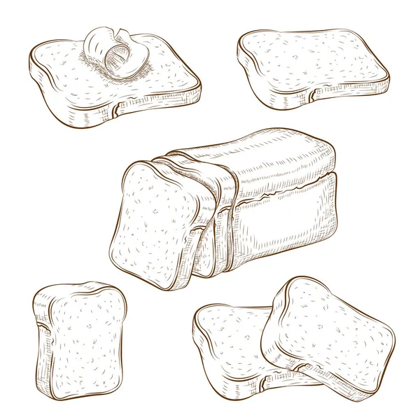 Set of drawn sliced bread and toasts illustration isolated on white. wheat rye or whole grain square loaf with various bread slices. sandwich icons collection. vintage engraved sketch. clip art. — Stock Photo, Image