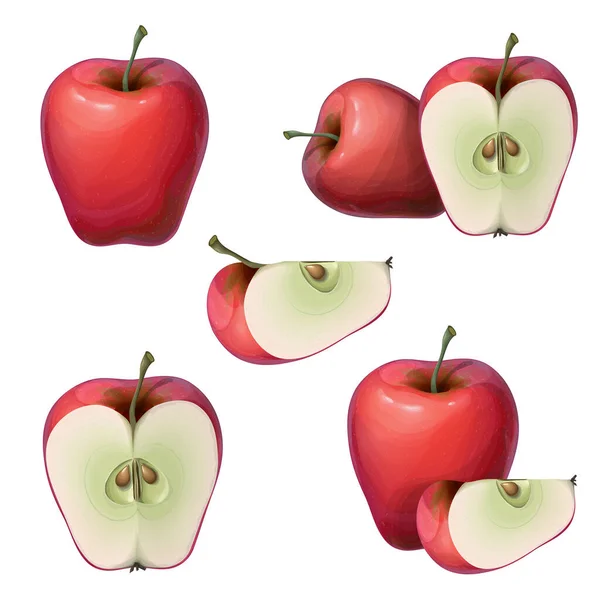 Coleção de maçãs vermelhas frescas vetoriais isoladas em branco. Toda, metade, e fatia de uma maçã madura e suculenta. delicioso ícone de frutas vermelhas fatiadas definido em estilo 3d realista para banner, logotipo. composição da maçã . — Vetor de Stock