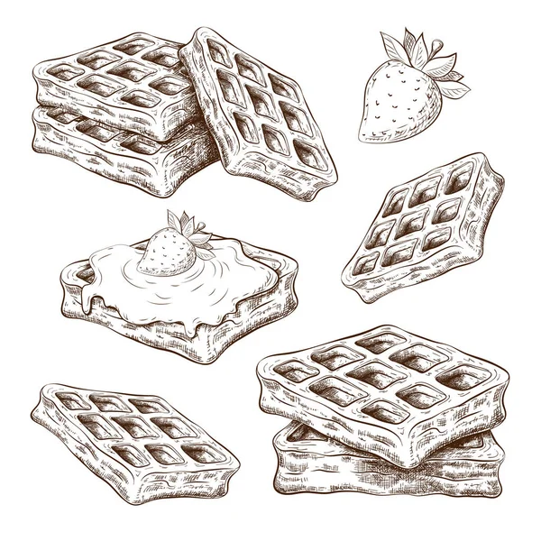 Mão desenhado waffles bonitos isolados em branco. esboço vetorial de bolachas belgium em estilo vintage gravado. ilustração de tinta doce para pastelaria. coleção de sobremesas para etiqueta, logotipo, menu de padaria, cartazes design ect — Vetor de Stock