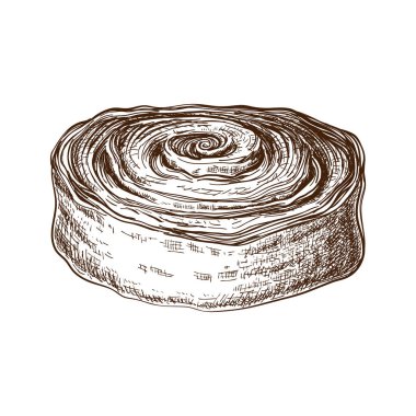 Elle çizilmiş tatlı çörek ya da tarçınlı rulo ya da haşhaş tohumlarıyla dolu. Pasta eskizi. Danimarka ya da İsveç tatlısının vektör çizimi. Kahvaltıda haşhaşlı çörek. Tarçın ya da kakao salyangozu, lezzetli girdaplar..