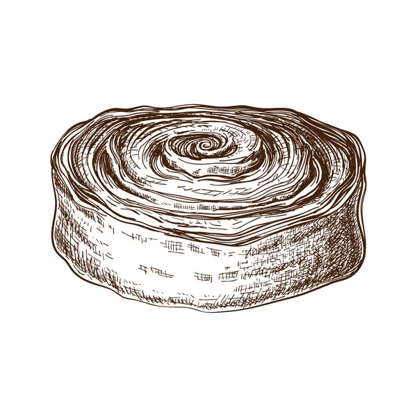 Tangan digambar roti manis atau gulungan dengan kayu manis atau diisi dengan poppy seed. Sketsa kue. Vektor ilustrasi dari makanan penutup khas Denmark atau Swedia. Roti poppy untuk sarapan. kayu manis atau siput kakao, swirls lezat. - Stok Vektor
