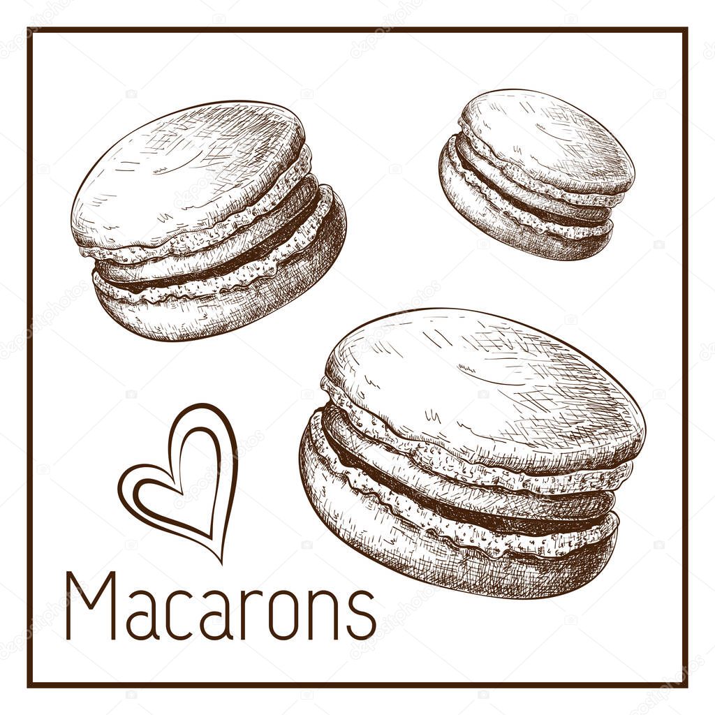 Hand drawn cute macarons isolated on white. Sketch of macaroons in vintage style. engraved pastry illustration. Sweet dessert clipart for label, logo, bakery menu, posters design. doodle set