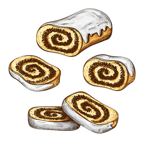 poppy seed cake or strudel with slices colored sketch isolated on white. drawing of bun or roll filled with poppy. vintage pastry icon. polish traditional dessert vector illustration. Christmas cake.