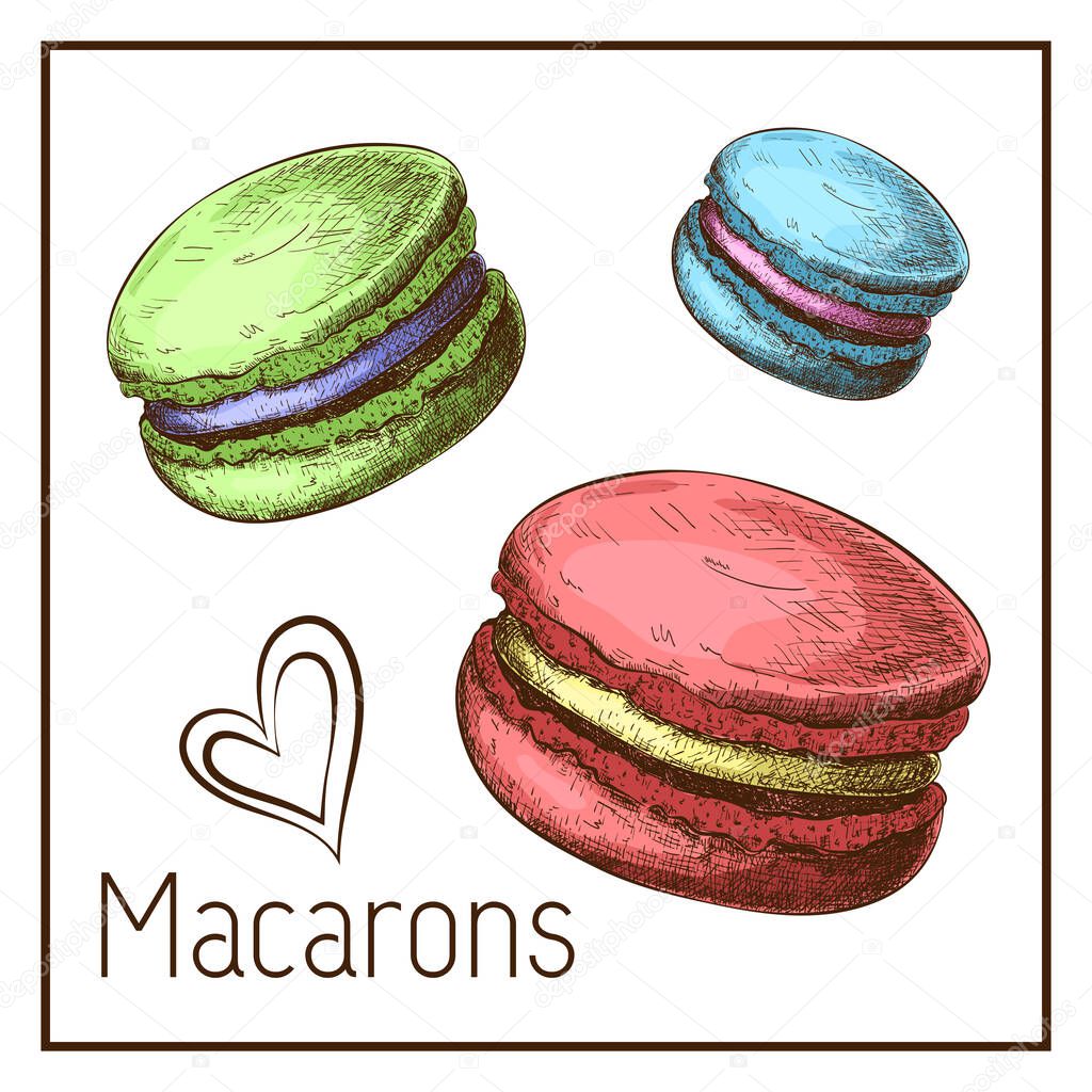 cute color macarons drawing isolated on white. vector Sketch of macaroons in vintage style. engraved pastry illustration. Sweet dessert clipart for label, logo, bakery menu, posters design. doodle set