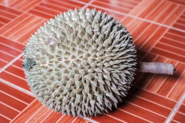 Durian Fruit Wit Durian Fruit Durian Monthong — Stockfoto