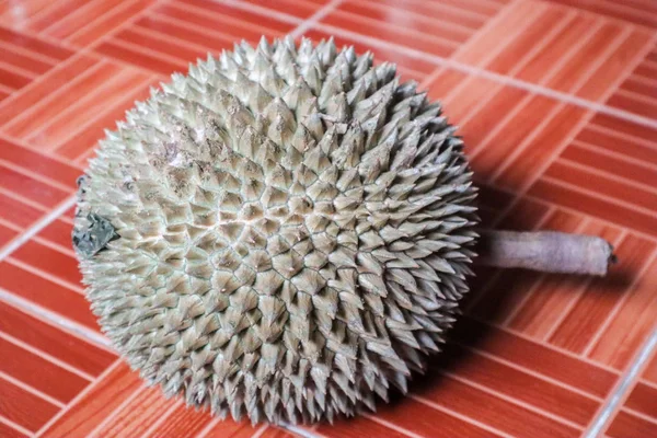 Durian Meyve Beyaz Durian Meyve Durian Monthong — Stok fotoğraf