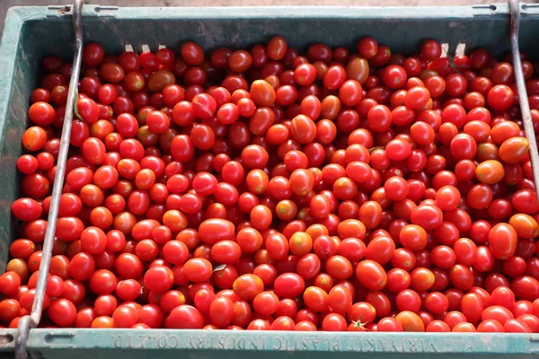 おいしい赤いトマト 有機野菜でいっぱいの夏のトレイ市場農業それは背景として使用することができます — ストック写真