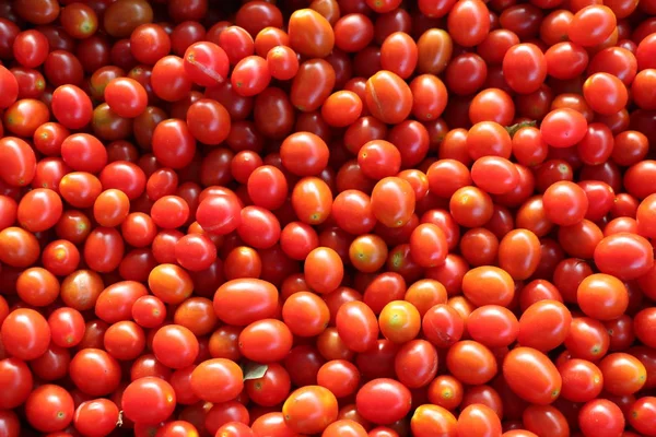 Delicious Red Tomatoes Summer Tray Market Agriculture Farm Full Organic — Stock Photo, Image