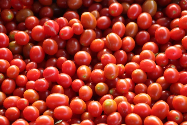 Délicieuses Tomates Rouges Plateau Été Marché Agricole Ferme Pleine Légumes — Photo